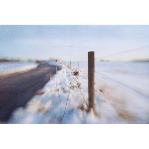 Walking on the Edge of Winter Gold Ornate Wood Framed Art Print with Double Matting by Hanna, Dawn D.