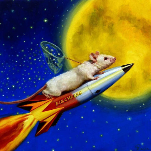 Image Only