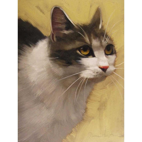 Derby Cat Black Modern Wood Framed Art Print with Double Matting by Hoeptner, Diane