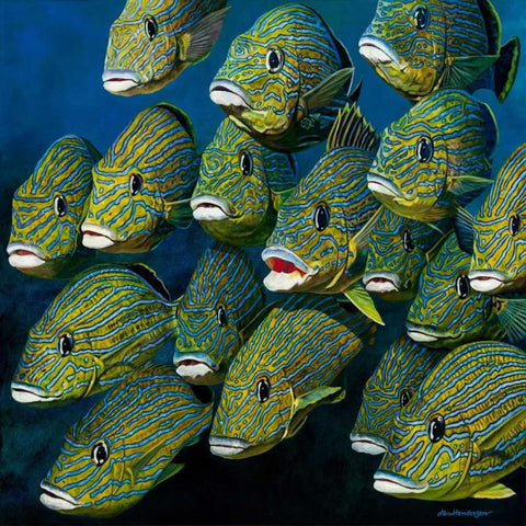 Shoal of Grunts White Modern Wood Framed Art Print with Double Matting by Henderson, Jan