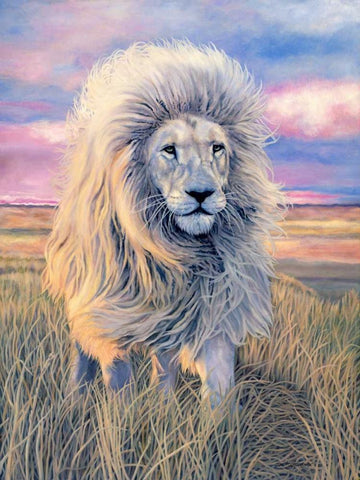 Timbavati Messenger White Modern Wood Framed Art Print with Double Matting by Henderson, Jan