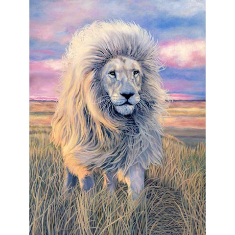 Timbavati Messenger Black Modern Wood Framed Art Print by Henderson, Jan