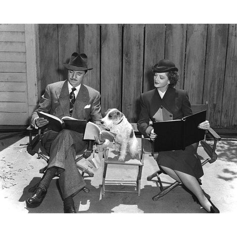 The Thin Man William Powell, Myrna Loy and Asta White Modern Wood Framed Art Print by Unknown