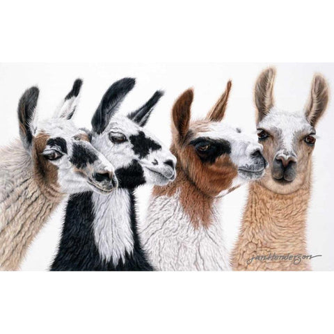 Peruvian Visitors White Modern Wood Framed Art Print by Henderson, Jan
