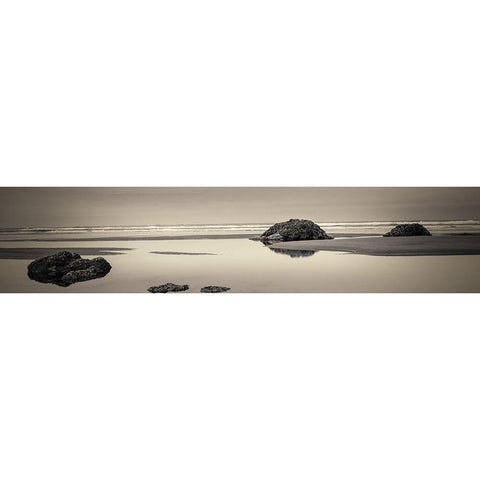 Beach Rocks No. 4 Black Modern Wood Framed Art Print by Horsfall, Gary