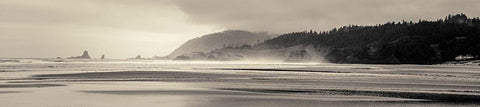 Cannon Beach No. 7 Black Ornate Wood Framed Art Print with Double Matting by Horsfall, Gary