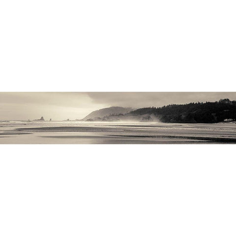 Cannon Beach No. 7 Gold Ornate Wood Framed Art Print with Double Matting by Horsfall, Gary