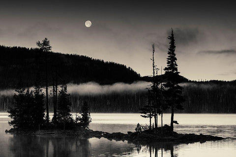 Full Moon At Waldo White Modern Wood Framed Art Print with Double Matting by Horsfall, Gary