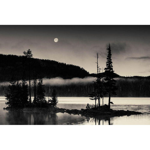Full Moon At Waldo White Modern Wood Framed Art Print by Horsfall, Gary
