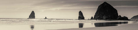 Haystack Rock Black Ornate Wood Framed Art Print with Double Matting by Horsfall, Gary