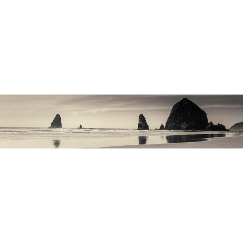 Haystack Rock Black Modern Wood Framed Art Print by Horsfall, Gary