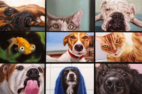 Animal Zoom White Modern Wood Framed Art Print with Double Matting by Heffernan, Lucia
