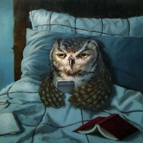 Night Owl White Modern Wood Framed Art Print with Double Matting by Heffernan, Lucia