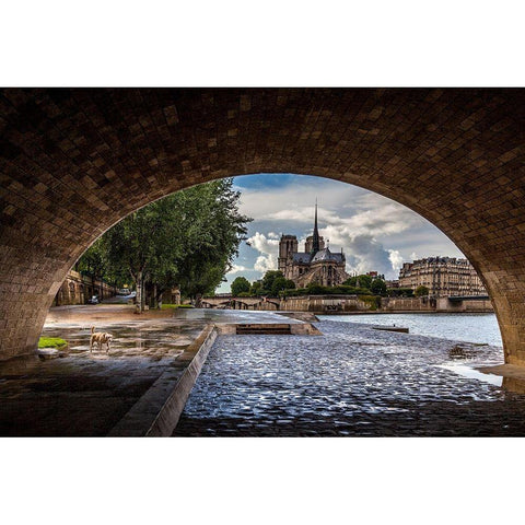 Chien et Notre Dame Black Modern Wood Framed Art Print with Double Matting by Herrera, H.J.