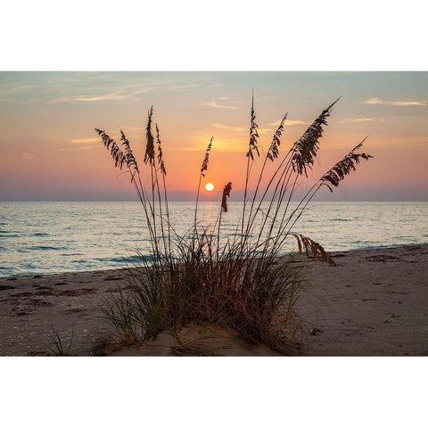 Days End White Modern Wood Framed Art Print by Herrera, H.J.