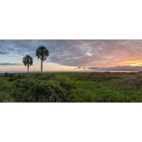 Prairie Sunrise Gold Ornate Wood Framed Art Print with Double Matting by Herrera, H.J.