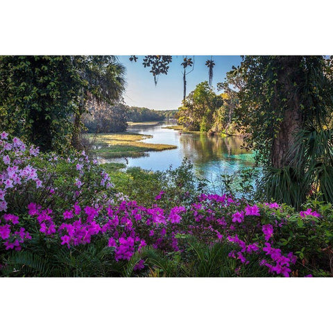 Rainbow Springs Gold Ornate Wood Framed Art Print with Double Matting by Herrera, H.J.