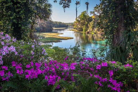Rainbow Springs Black Ornate Wood Framed Art Print with Double Matting by Herrera, H.J.