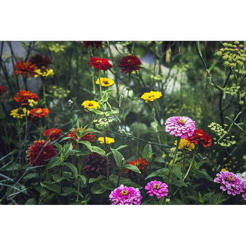 Secret Gardens Gold Ornate Wood Framed Art Print with Double Matting by Henriksen, Jennifer