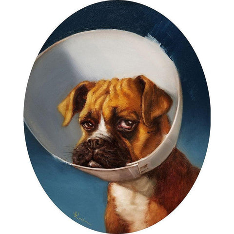 Cone of Shame Black Modern Wood Framed Art Print with Double Matting by Heffernan, Lucia