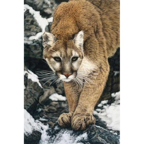 Silent Approach White Modern Wood Framed Art Print by Henderson, Jan