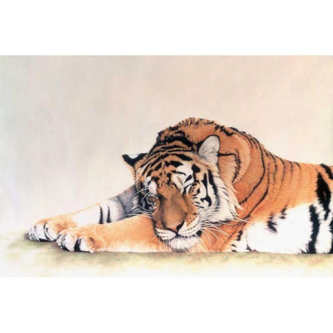 Sleeping Tiger Gold Ornate Wood Framed Art Print with Double Matting by Henderson, Jan