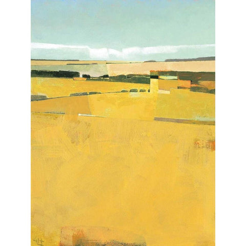 Fence Lines and Fields Gold Ornate Wood Framed Art Print with Double Matting by Hargreaves, Greg