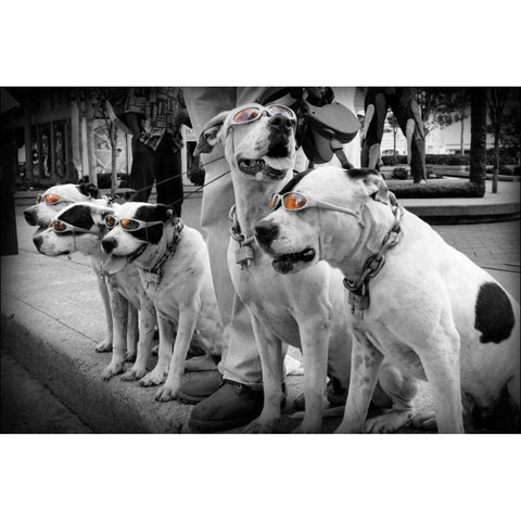 Afternoon Stroll Black Modern Wood Framed Art Print with Double Matting by Henderson, Scott