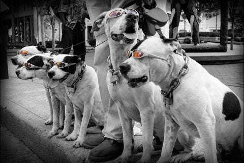 Afternoon Stroll Black Ornate Wood Framed Art Print with Double Matting by Henderson, Scott