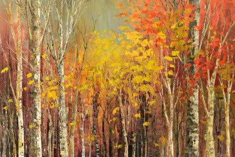 Tangled Colors White Modern Wood Framed Art Print with Double Matting by Iliina, Tatiana