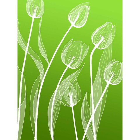 IN246_4 Black Modern Wood Framed Art Print with Double Matting by GraphINC Studio