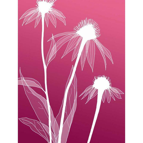 IN246_5 Black Modern Wood Framed Art Print by GraphINC Studio