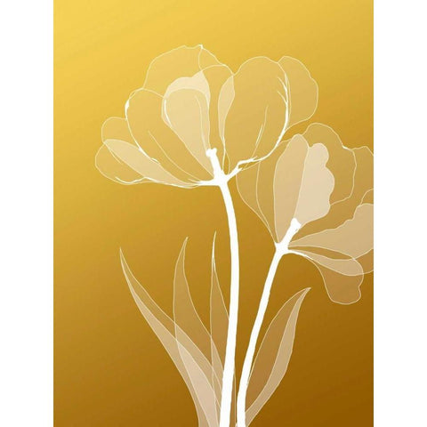 IN246_6 Black Modern Wood Framed Art Print by GraphINC Studio