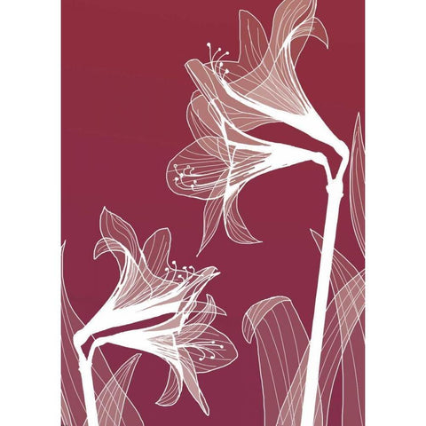 X-ray Flowers Gold Ornate Wood Framed Art Print with Double Matting by GraphINC