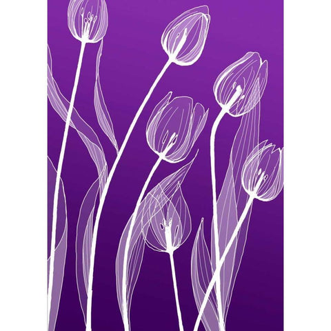 X-ray Flowers Gold Ornate Wood Framed Art Print with Double Matting by GraphINC