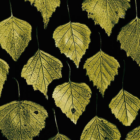 Green Leaves White Modern Wood Framed Art Print by PhotoINC Studio