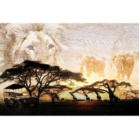 Savanna Black Modern Wood Framed Art Print with Double Matting by GraphINC