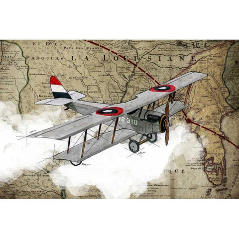 Biplane 4 Gold Ornate Wood Framed Art Print with Double Matting by GraphINC Studio