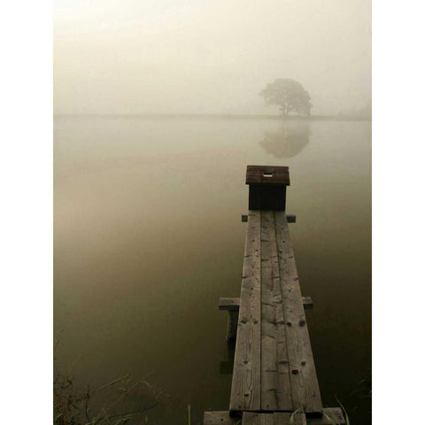 Dock 4 White Modern Wood Framed Art Print by PhotoINC Studio