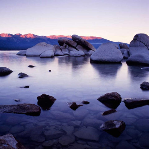 Purple Rocks White Modern Wood Framed Art Print by PhotoINC Studio