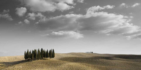 Toscana Landscape White Modern Wood Framed Art Print with Double Matting by PhotoINC Studio