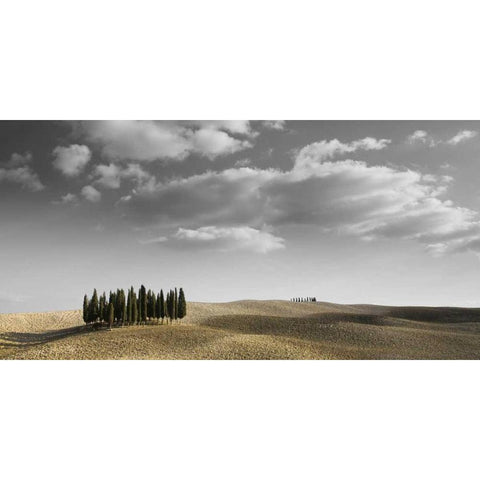 Toscana Landscape Gold Ornate Wood Framed Art Print with Double Matting by PhotoINC Studio