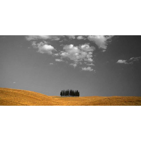 Toscana Landscape White Modern Wood Framed Art Print by PhotoINC Studio