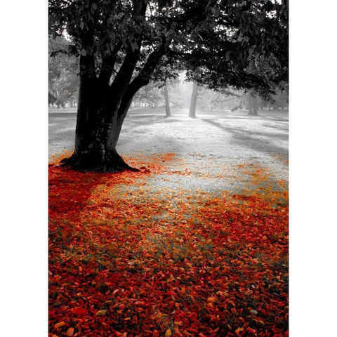 Autumn Contrast Black Modern Wood Framed Art Print by PhotoINC Studio