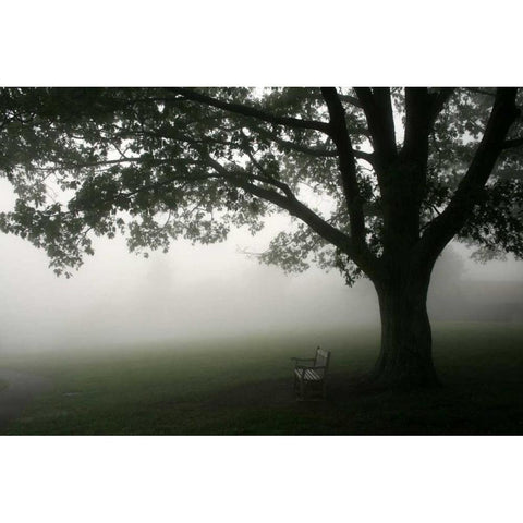 Misty Bench Black Modern Wood Framed Art Print with Double Matting by PhotoINC Studio