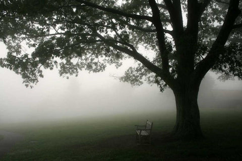 Misty Bench Black Ornate Wood Framed Art Print with Double Matting by PhotoINC Studio