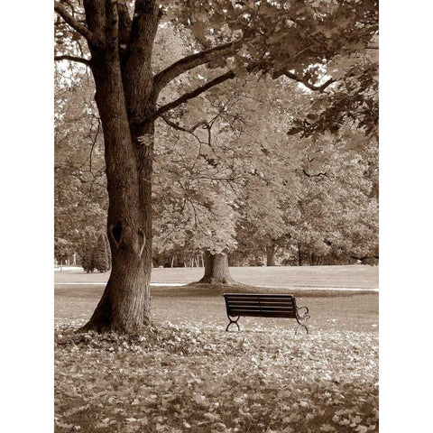 Park View Gold Ornate Wood Framed Art Print with Double Matting by PhotoINC Studio