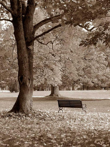 Park View White Modern Wood Framed Art Print with Double Matting by PhotoINC Studio