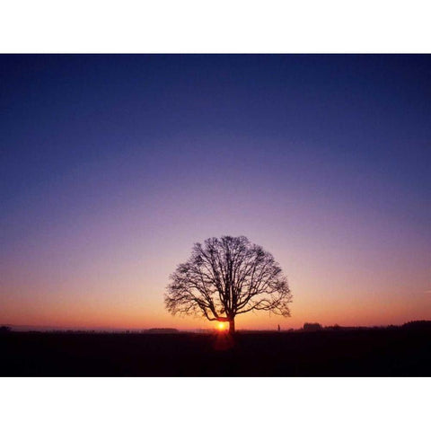 Sundown Black Modern Wood Framed Art Print with Double Matting by PhotoINC Studio