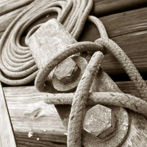 Knots and Bolts Black Modern Wood Framed Art Print with Double Matting by PhotoINC Studio